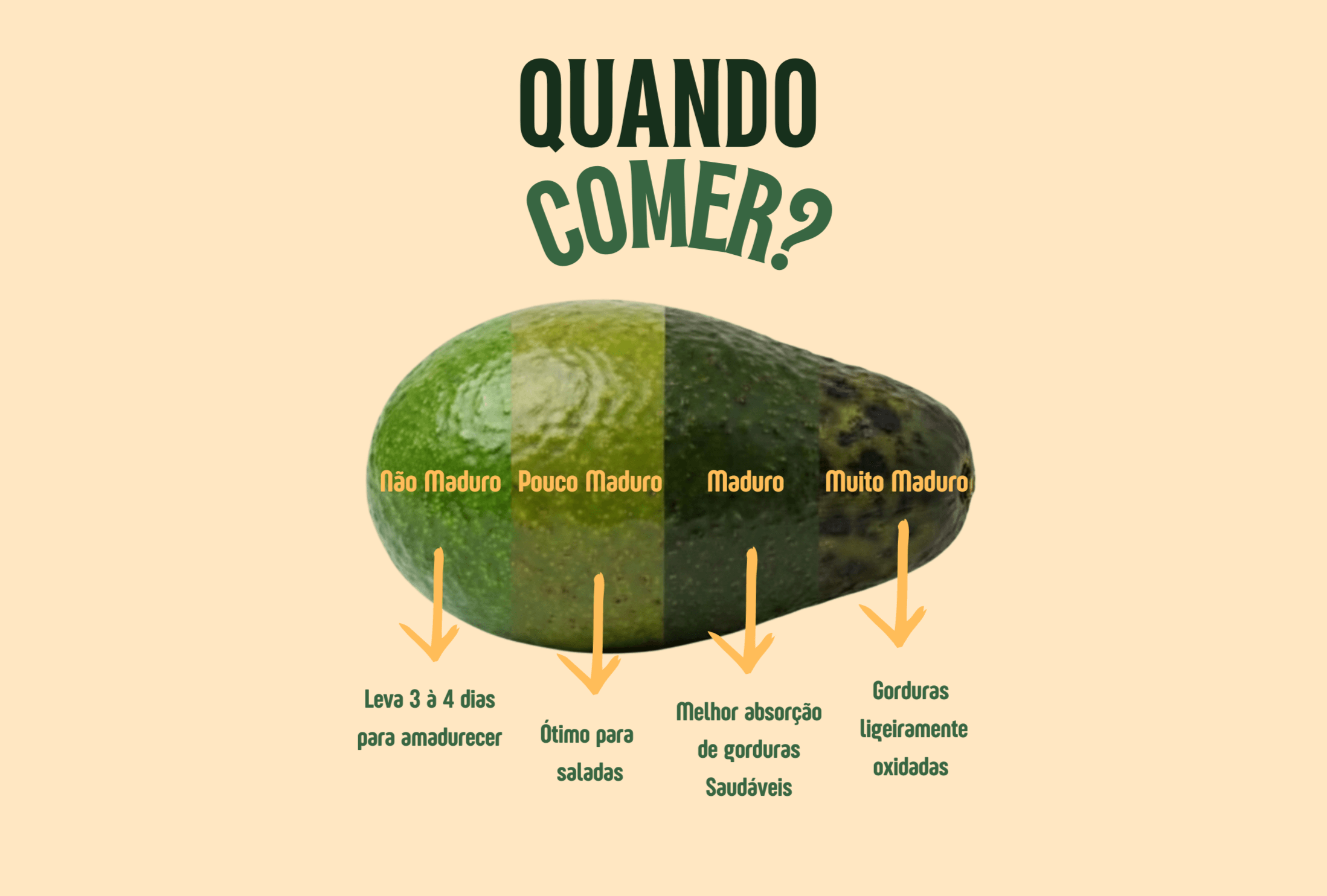 Design sem nome (2).png