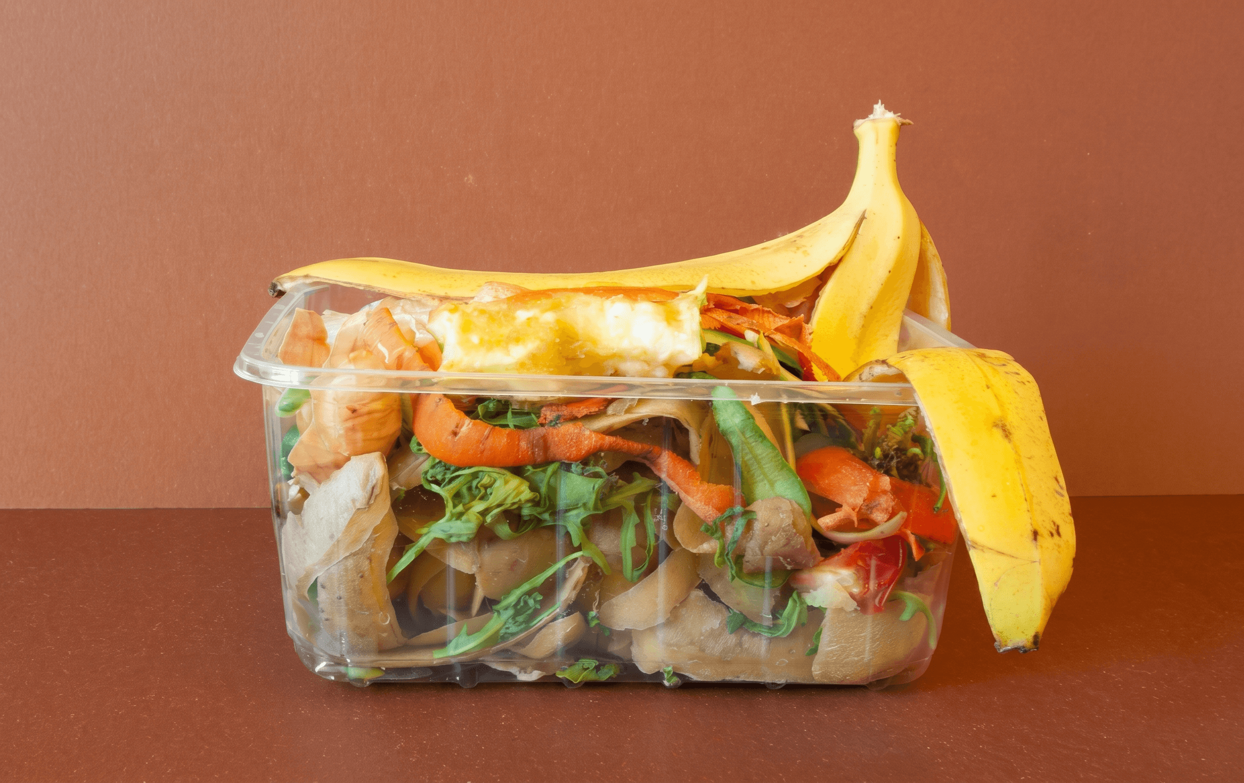 You’re Throwing Away the Most Nutritious Parts of Your Food