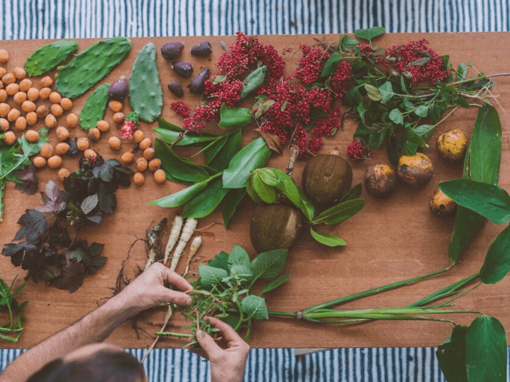 PANCs Urbanas: As “Superfoods” Escondidas na Cidade