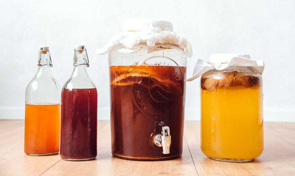 Kombucha: Como Fermentar Chá em uma Bebida Viva