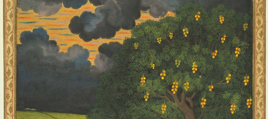 Da Índia ao Prato Brasileiro